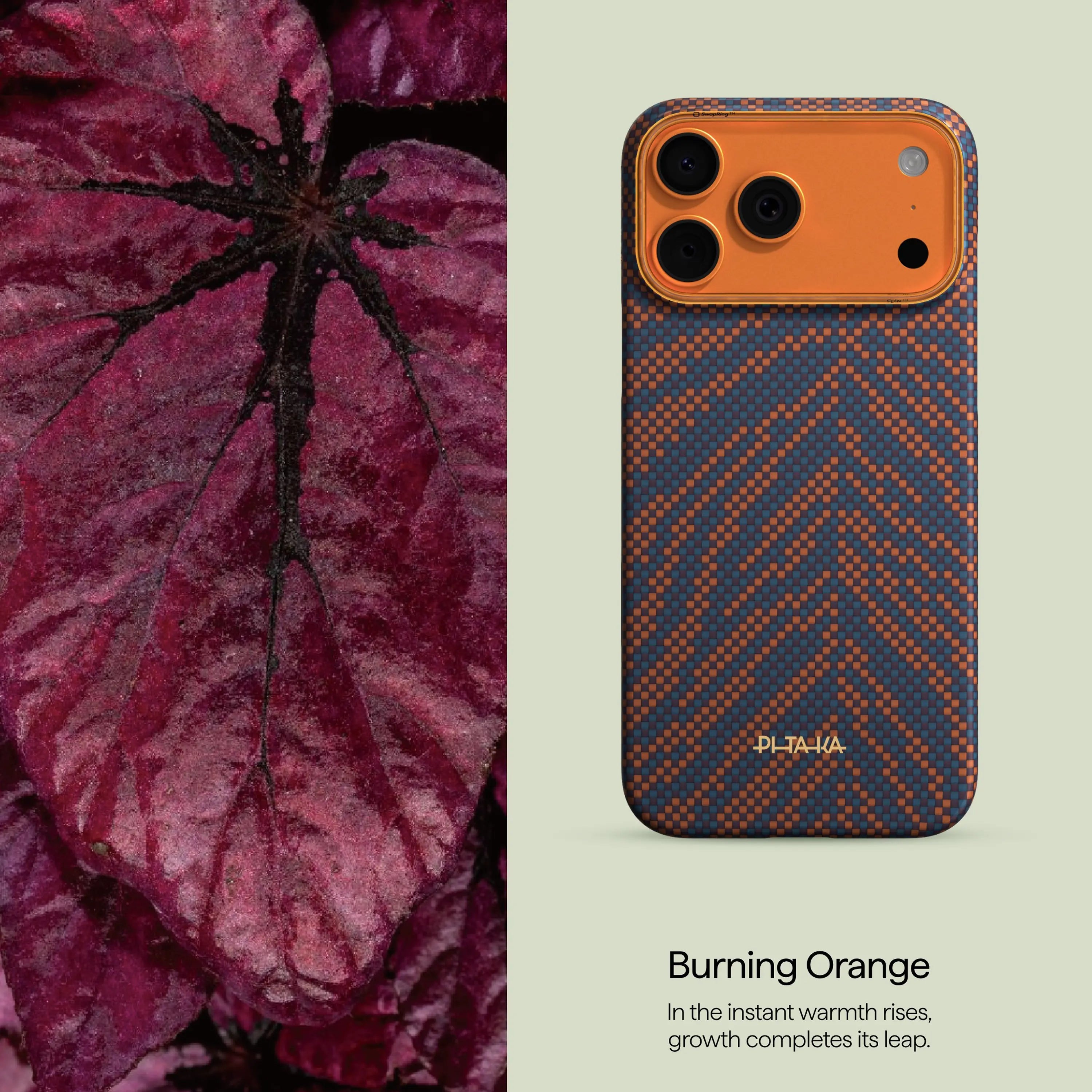 Pitaka Ultra-Slim Case With PitaTap Camera Control for iPhone 17 Pro Max - Breath of Veins